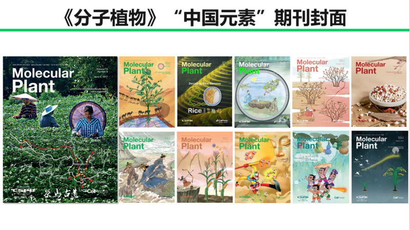 种植技术封面设计