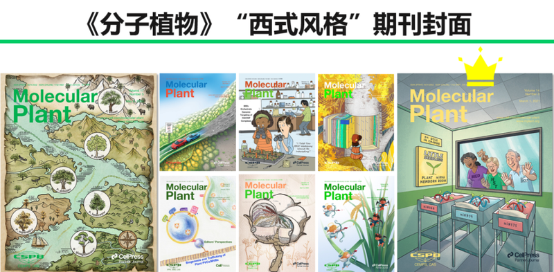 种植技术封面设计