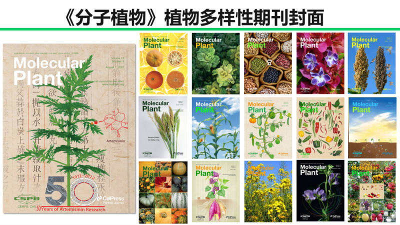 种植技术封面设计