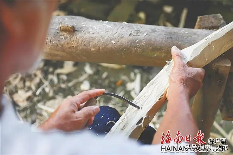 沉香树种植技术