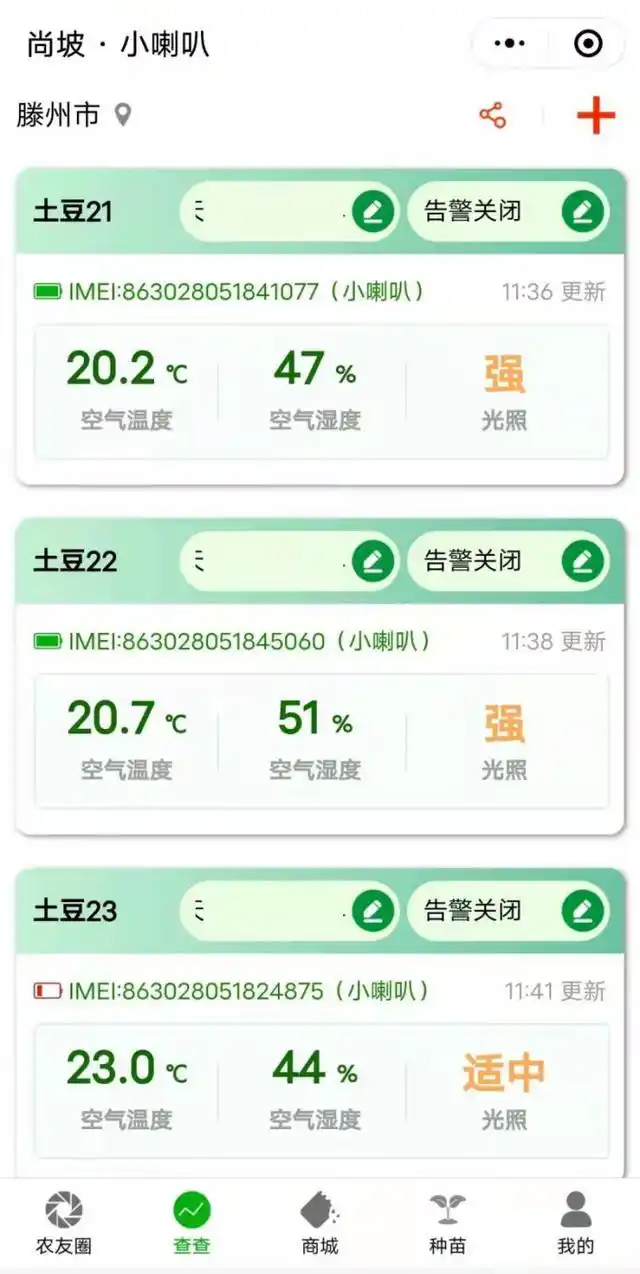 山东秋土豆种植技术