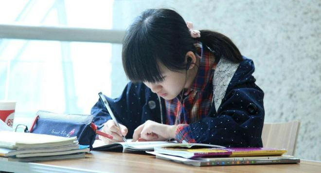 知识体系包括哪些方面