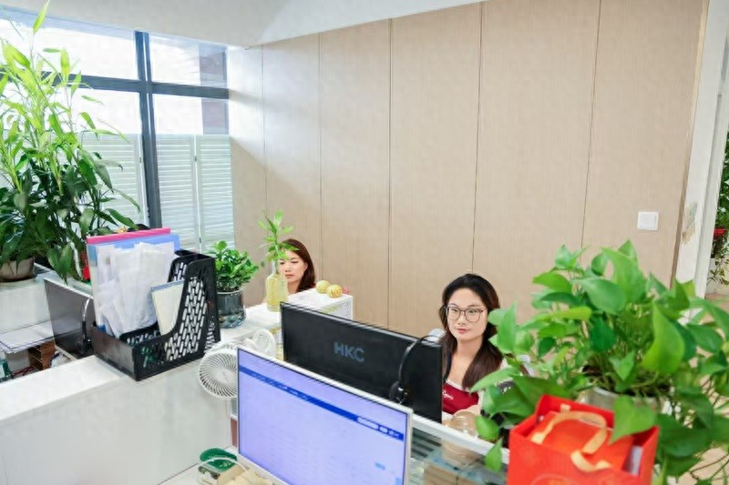 全国十大婚恋网站排名