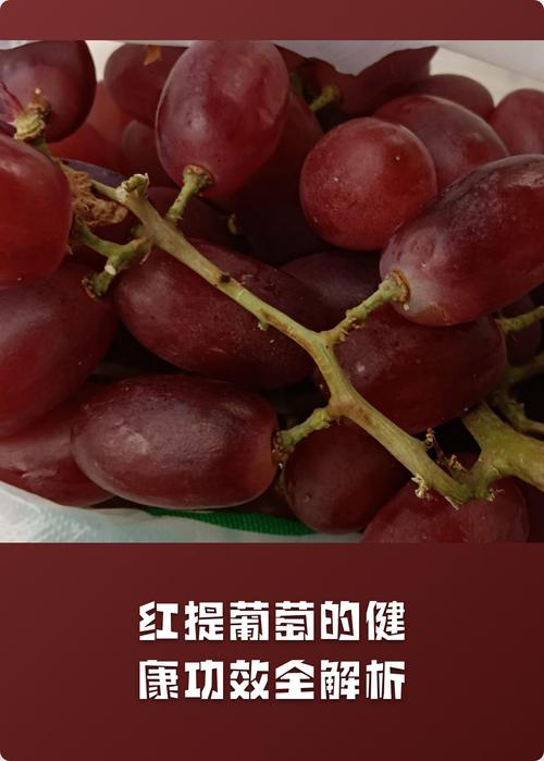 Technology for red milk grape cultivation