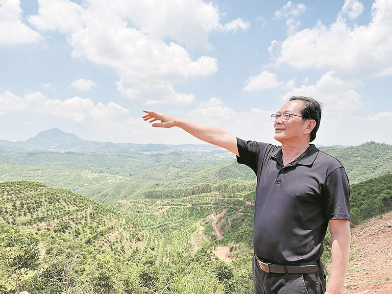 沉香树种植技术