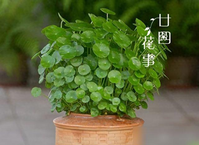 Waterbreeding methods