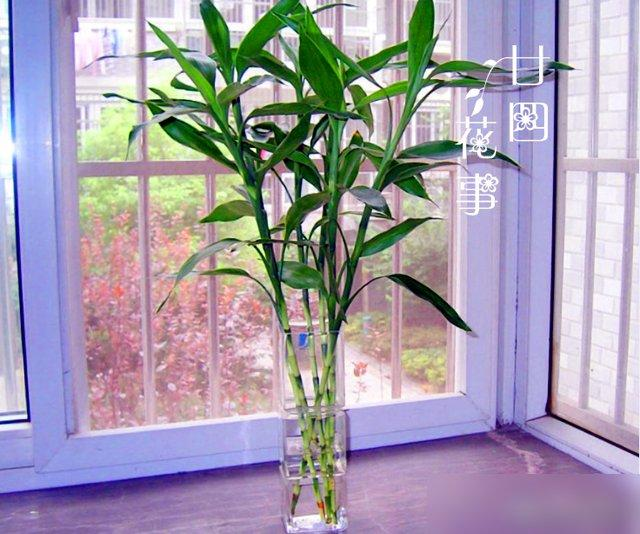 Waterbreeding methods