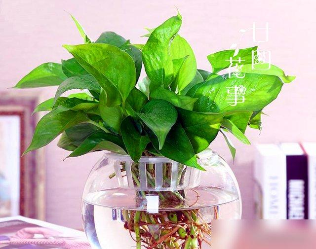 Waterbreeding methods