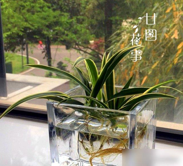 Waterbreeding methods