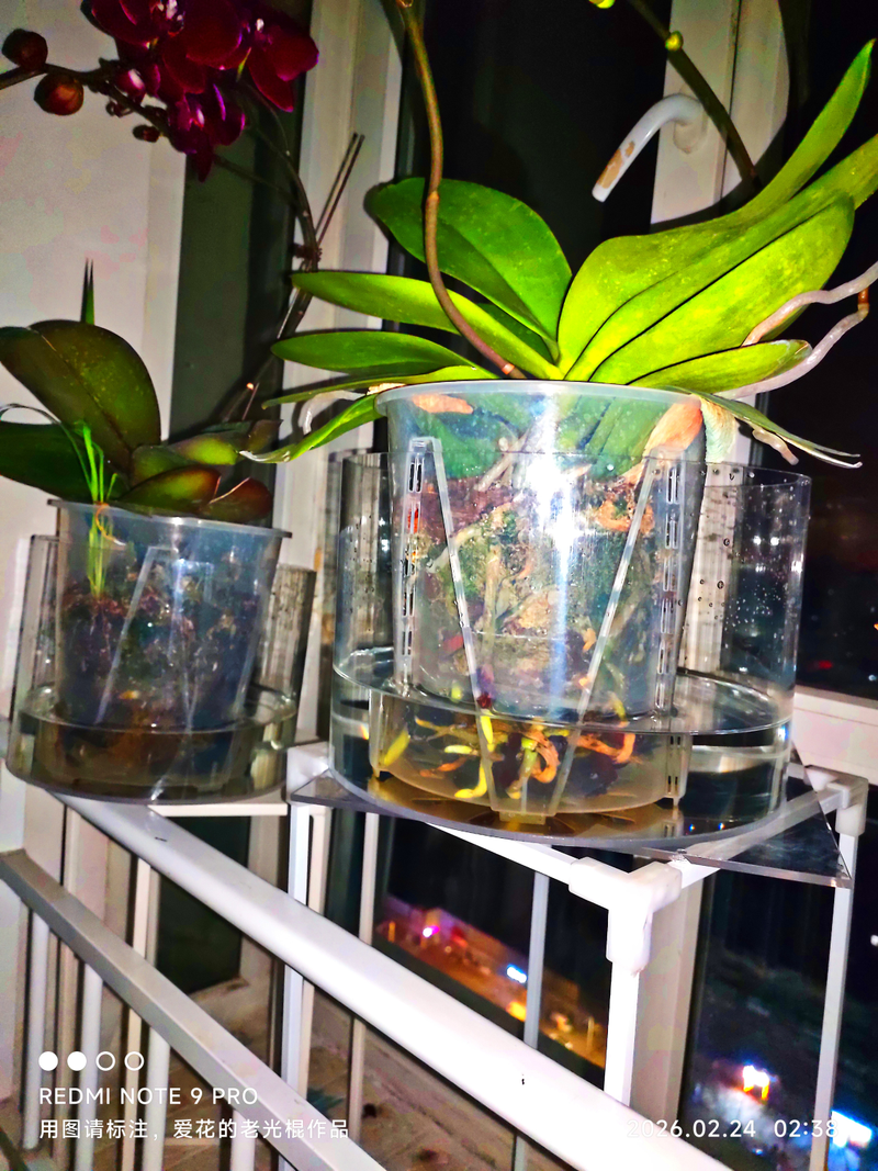 Waterbreeding methods