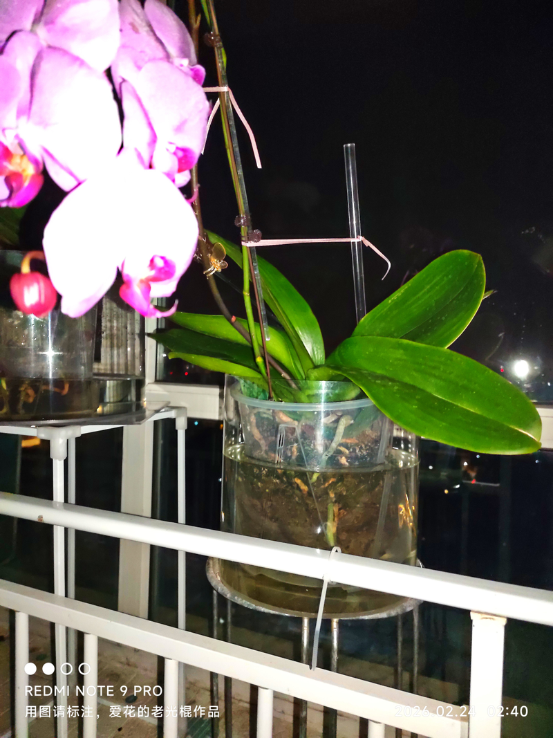Waterbreeding methods