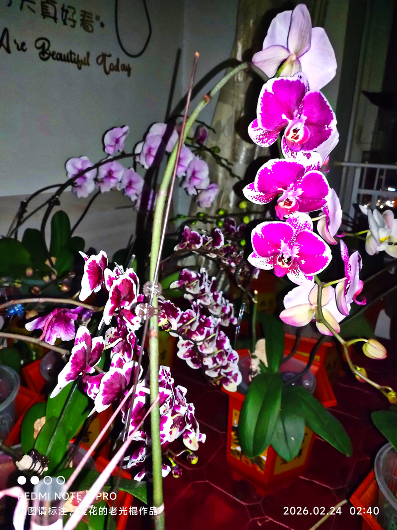 Waterbreeding methods