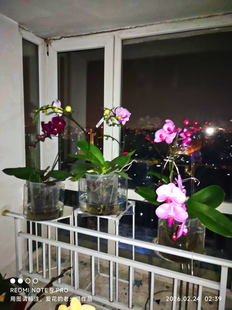 Waterbreeding methods