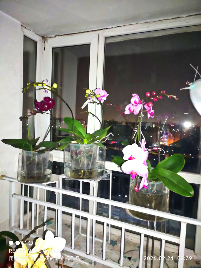 Waterbreeding methods