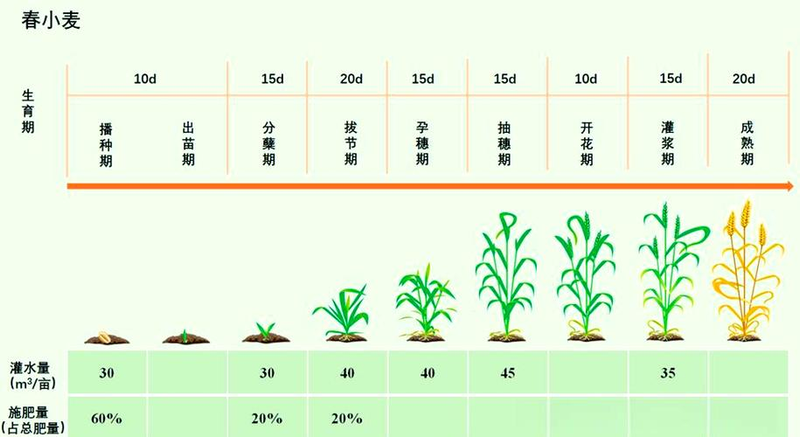 How heat affects cultivation methods