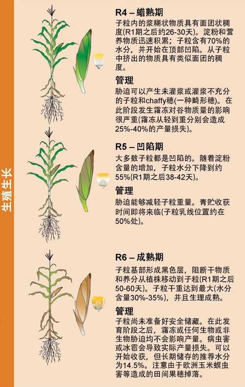 How heat affects cultivation methods