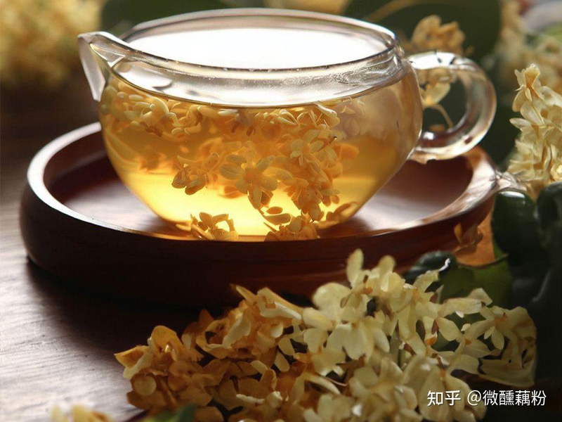 Recommendations on techniques for the cultivation of cinnamon trees