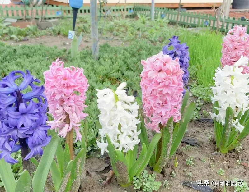 Waterbreeding methods
