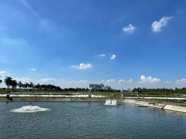 热量如何影响栽培方法