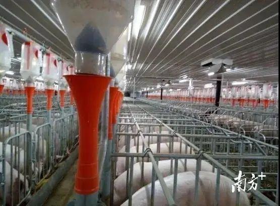 热量如何影响栽培方法