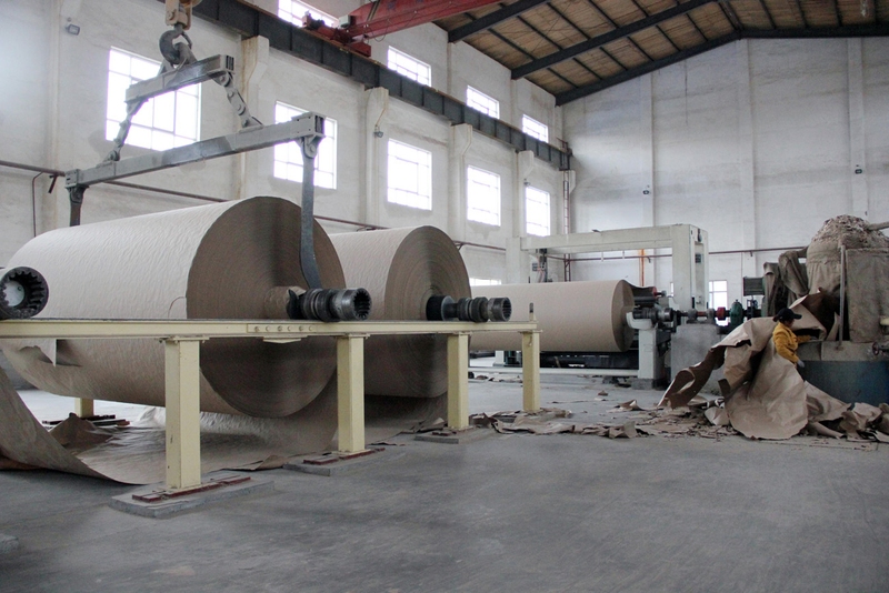 速生桉树种植技术