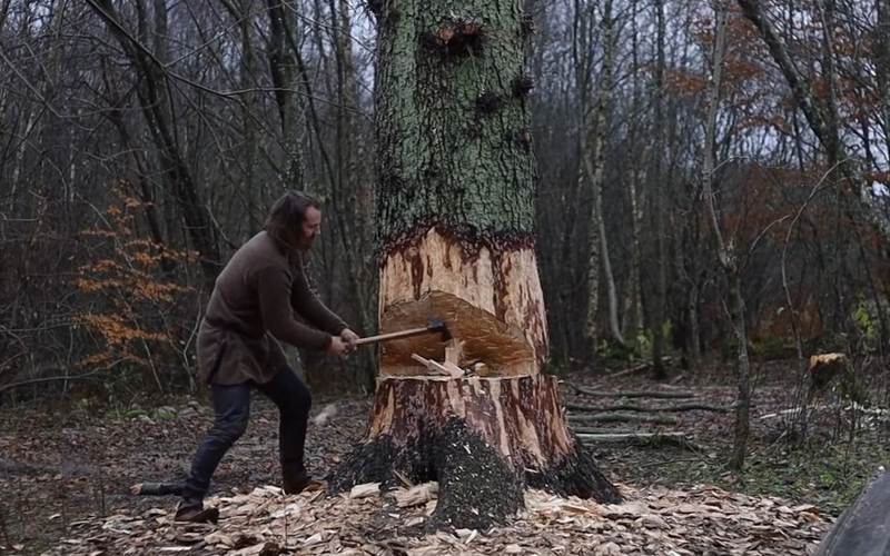 速生桉树种植技术