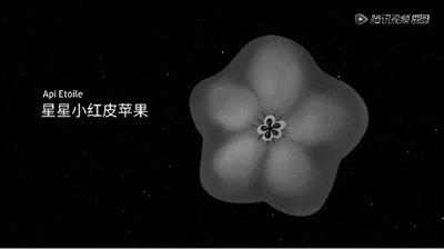 Fruit knowledge-sharing