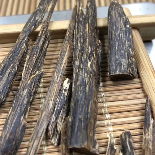 沉香树种植技术