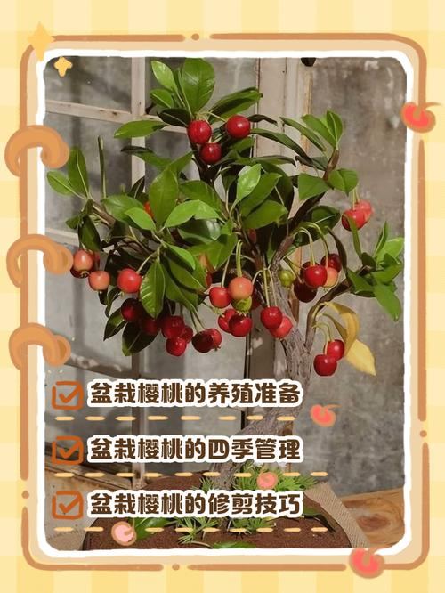 Plantation techniques