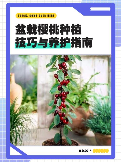 Plantation techniques
