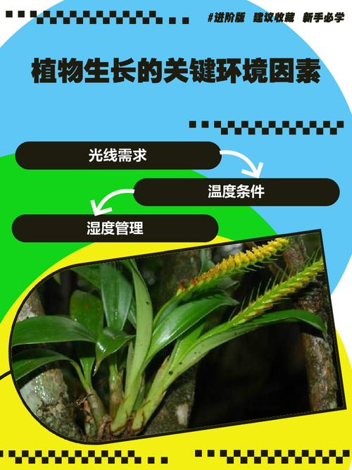 热量如何影响栽培方法