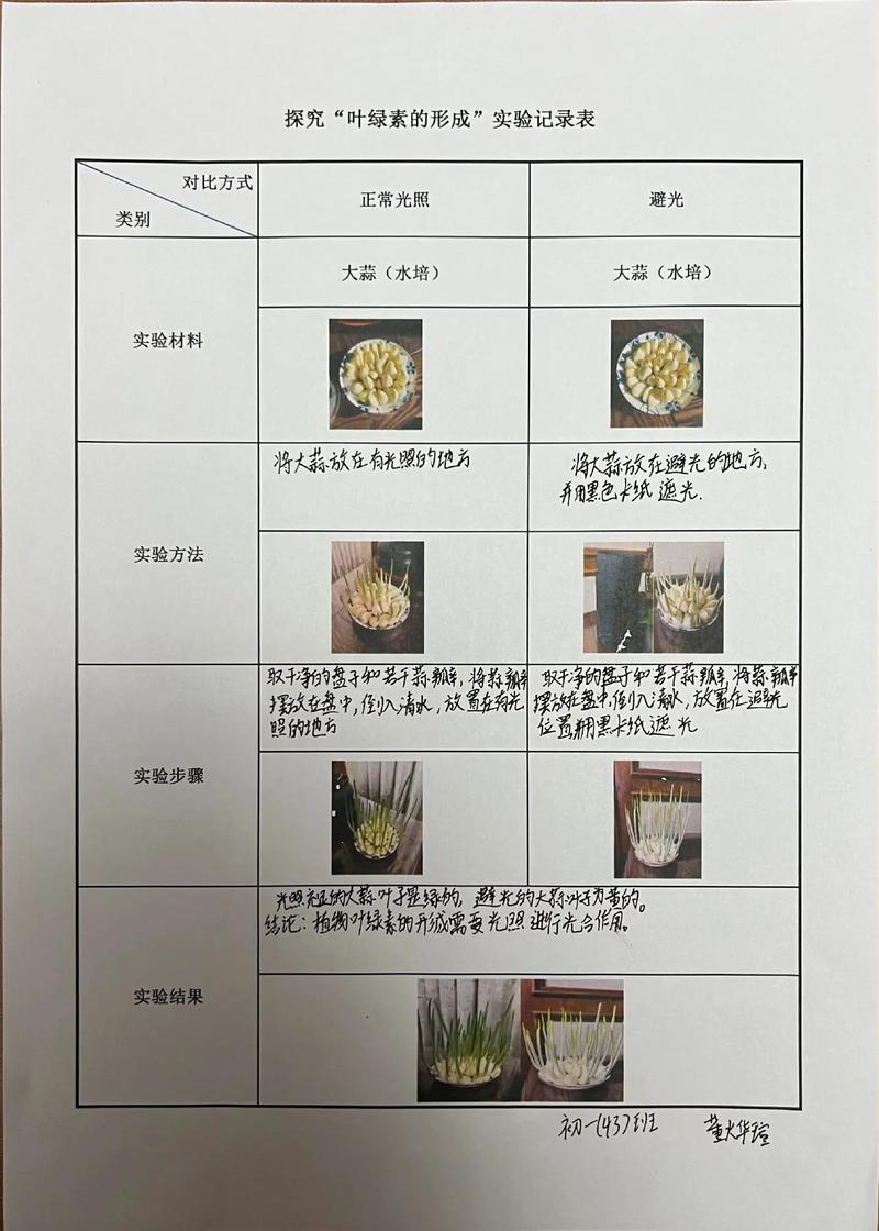 热量如何影响栽培方法