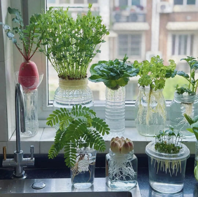 Waterbreeding methods