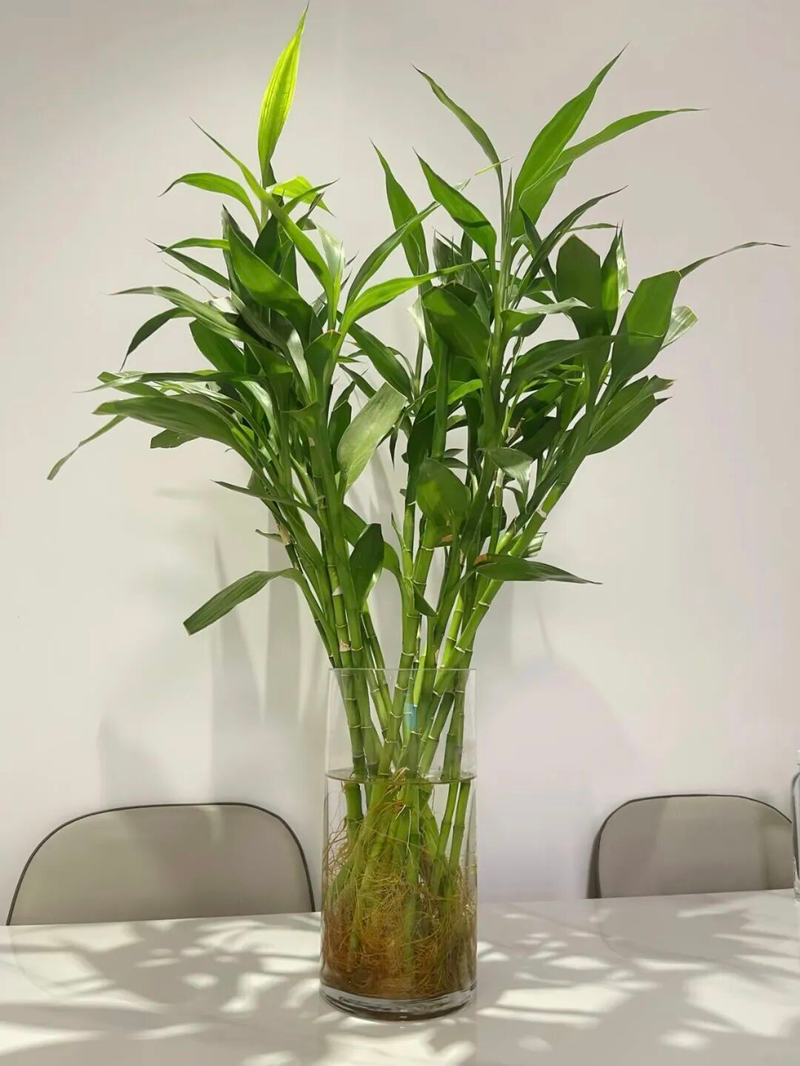 Waterbreeding methods