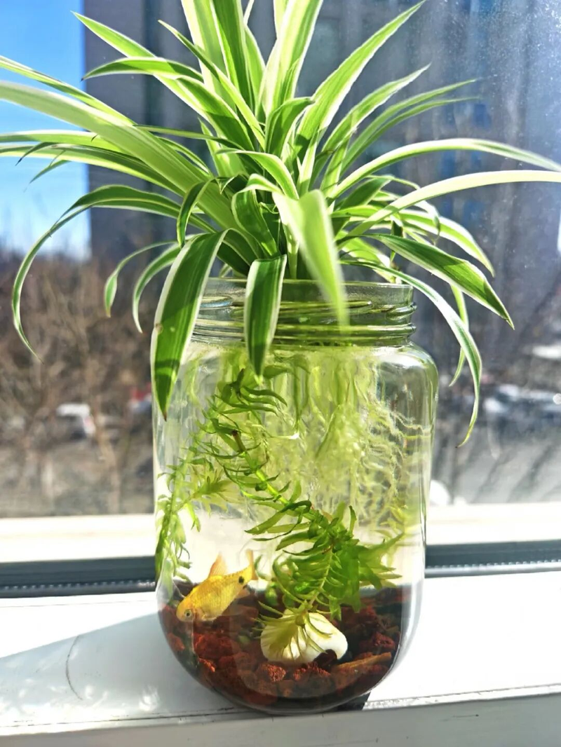 Waterbreeding methods