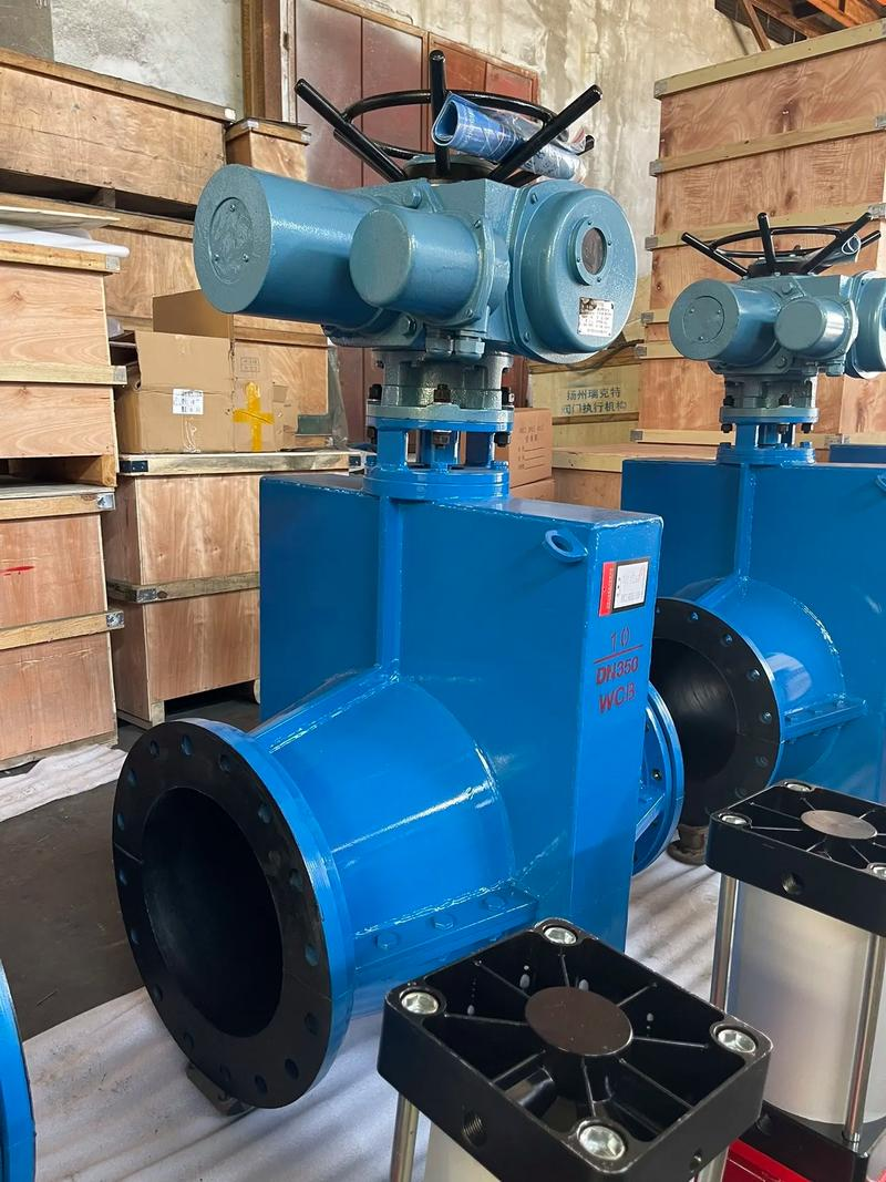 Zambo maintenance valves