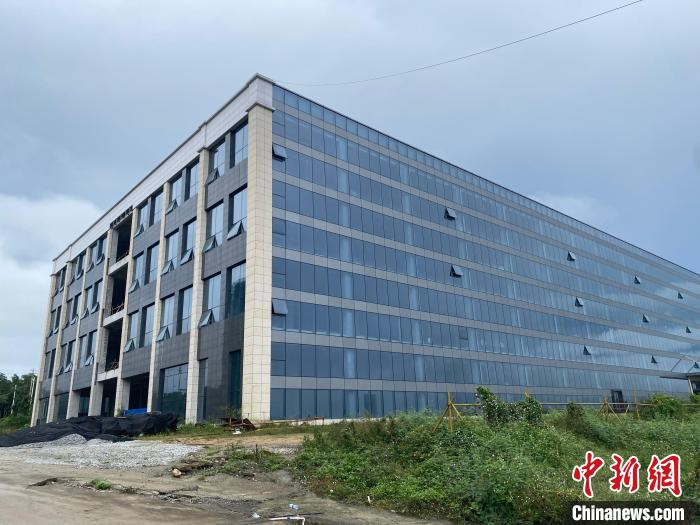 沉香树种植技术