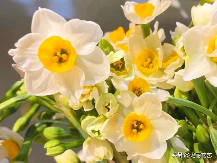 Waterbreeding methods