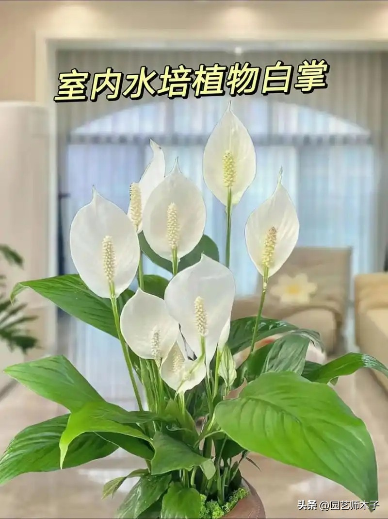 Waterbreeding methods