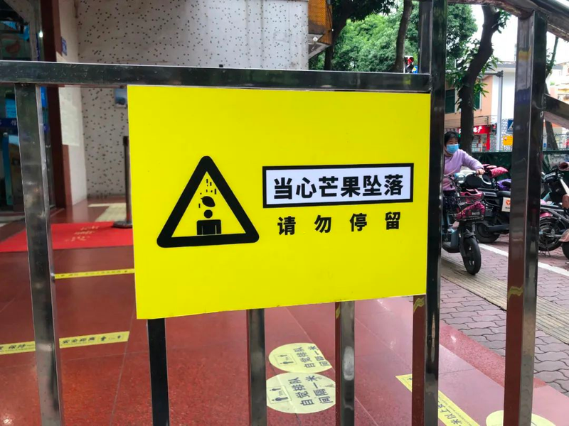 Picture of fruit tree cultivation