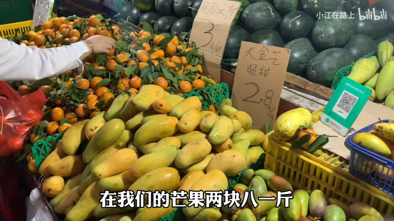 Picture of fruit tree cultivation