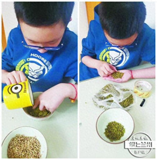 芽苗菜种植技术视频