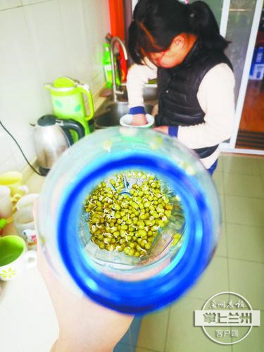 芽苗菜种植技术视频