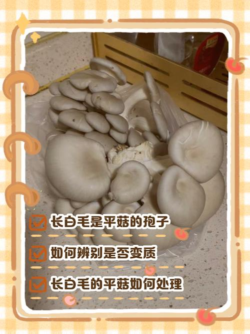 Home farming methods for mushrooms