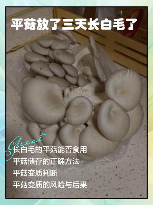 Home farming methods for mushrooms