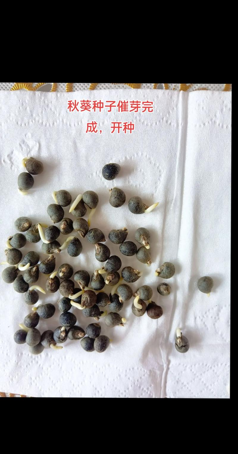 Autumn family farming methods