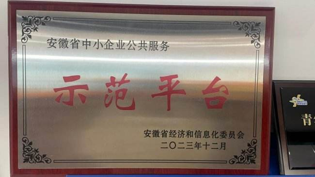 White hat seeo video tutor