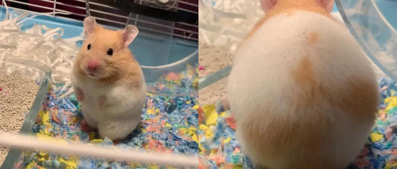 I've had a lot of visual phobia