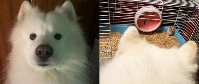 I've had a lot of visual phobia