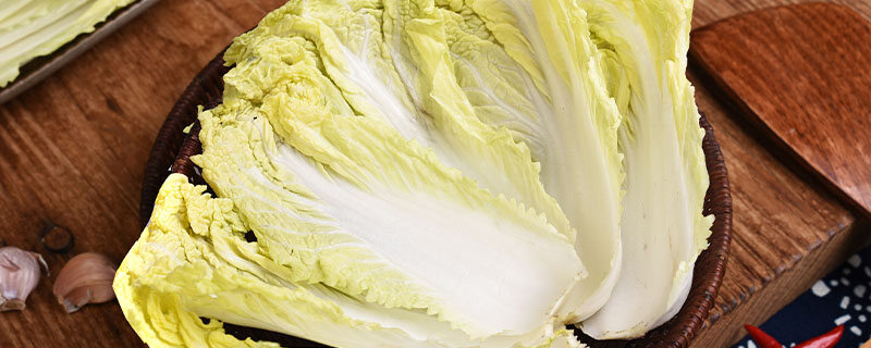 Autumn cabbage planting technology video